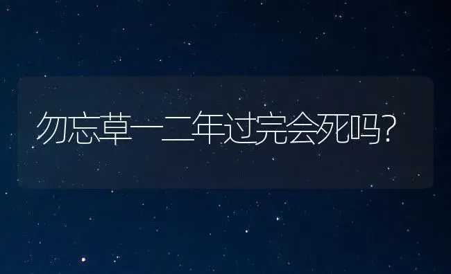 勿忘草一二年过完会死吗？ | 绿植常识