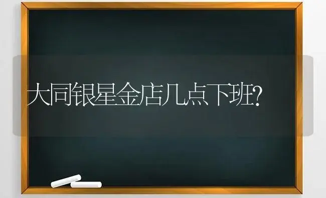 大同银星金店几点下班？ | 多肉养殖