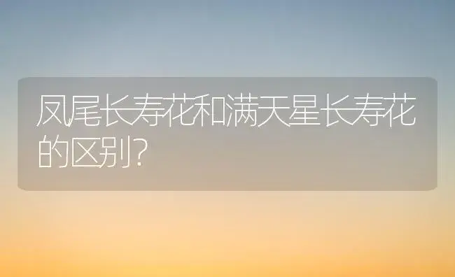 凤尾长寿花和满天星长寿花的区别？ | 多肉养殖