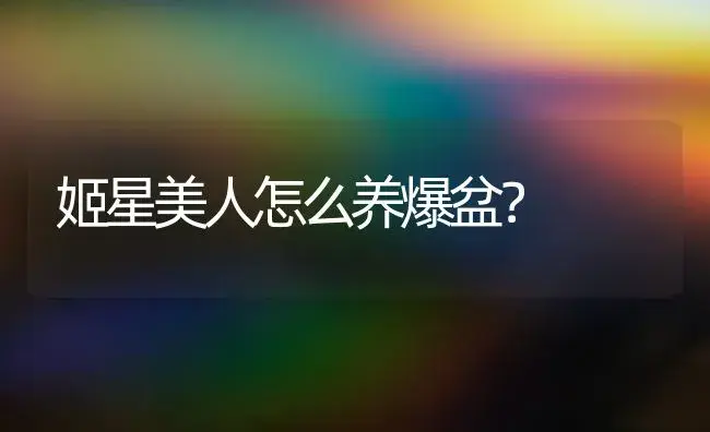 姬星美人怎么养爆盆？ | 家庭养花