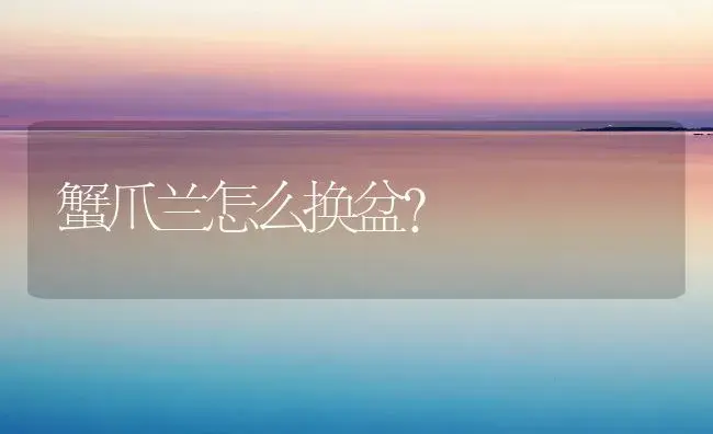 牡丹分株在仲秋 | 家庭养花