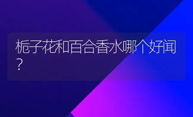 栀子花和百合香水哪个好闻？ | 绿植常识