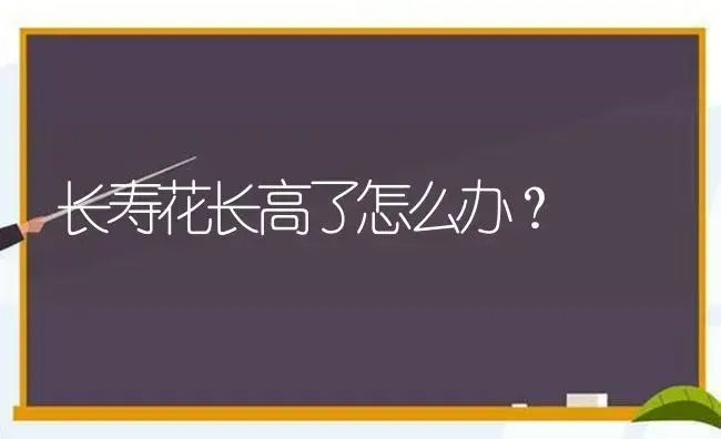 长寿花长高了怎么办？ | 多肉养殖