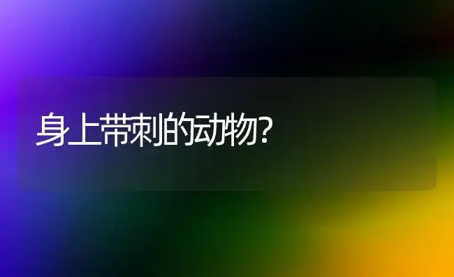 身上带刺的动物？ | 多肉养殖