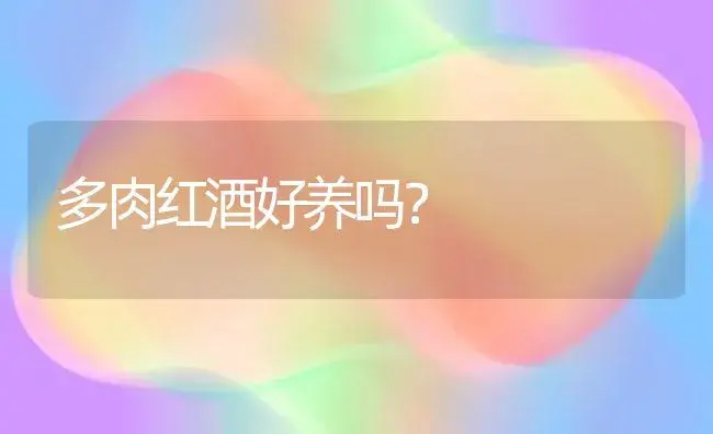 多肉红酒好养吗？ | 多肉养殖