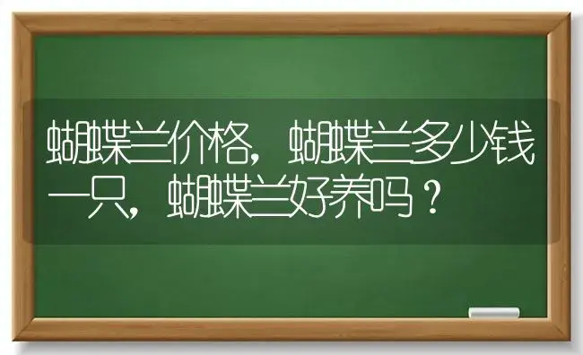 蝴蝶兰价格，蝴蝶兰多少钱一只，蝴蝶兰好养吗？ | 绿植常识