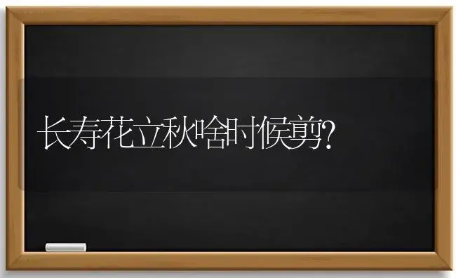 长寿花立秋啥时候剪？ | 多肉养殖