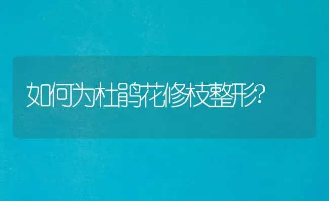 如何为杜鹃花修枝整形? | 家庭养花