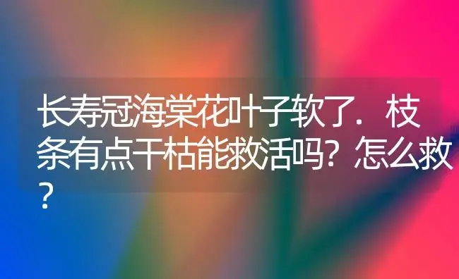 长寿冠海棠花叶子软了.枝条有点干枯能救活吗？怎么救？ | 多肉养殖