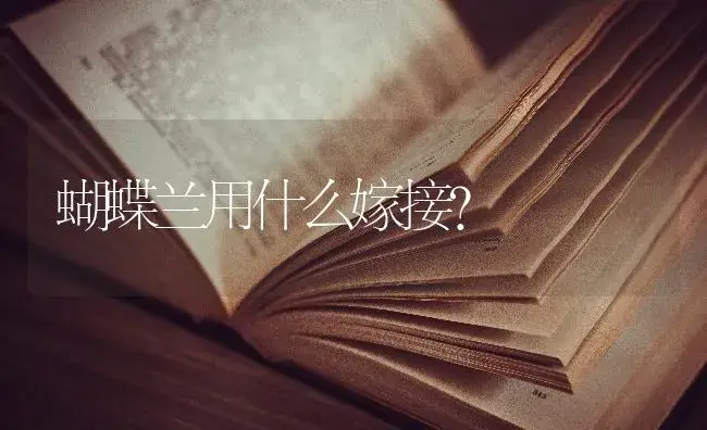 蝴蝶兰用什么嫁接？ | 绿植常识