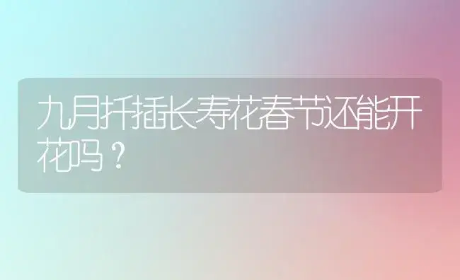 九月扦插长寿花春节还能开花吗？ | 多肉养殖