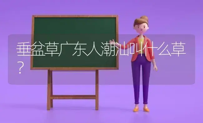 垂盆草广东人潮汕叫什么草？ | 多肉养殖