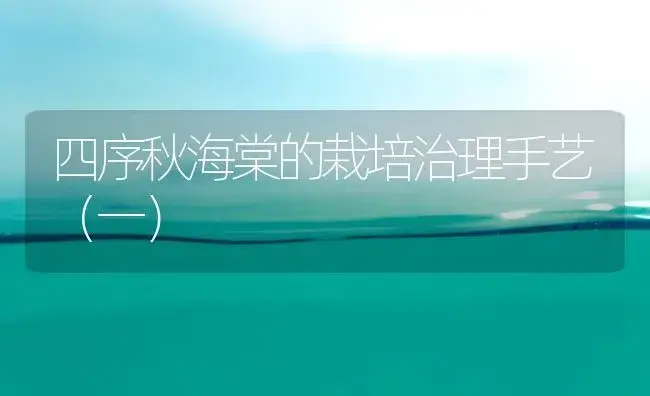 四序秋海棠的栽培治理手艺（一） | 家庭养花