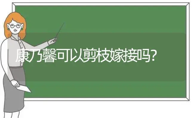 康乃馨可以剪枝嫁接吗？ | 绿植常识