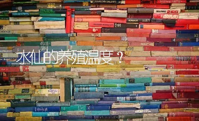 水仙的养殖温度？ | 绿植常识