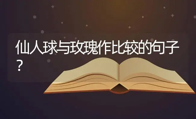 仙人球与玫瑰作比较的句子？ | 绿植常识