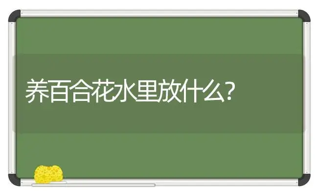 养百合花水里放什么？ | 绿植常识