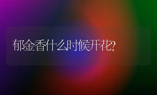 网纹草的养殖对策和小心事项 | 家庭养花