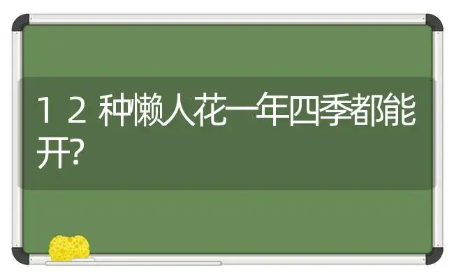 12种懒人花一年四季都能开？ | 多肉养殖