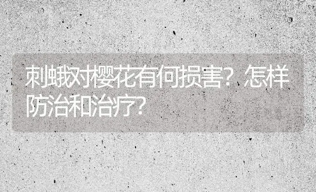 刺蛾对樱花有何损害？怎样防治和治疗？ | 家庭养花