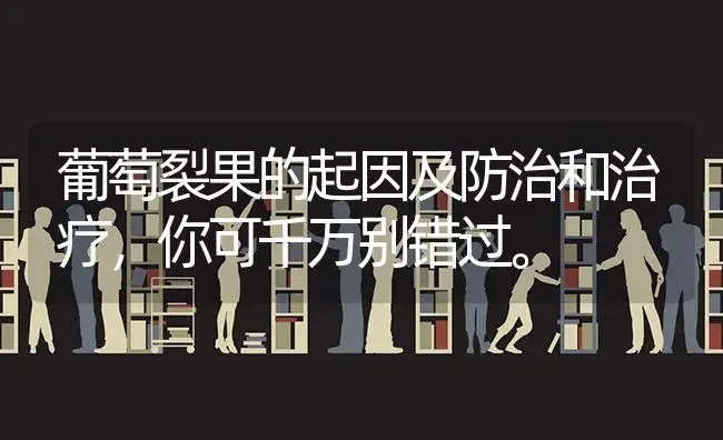 葡萄裂果的起因及防治和治疗，你可千万别错过。 | 果木种植