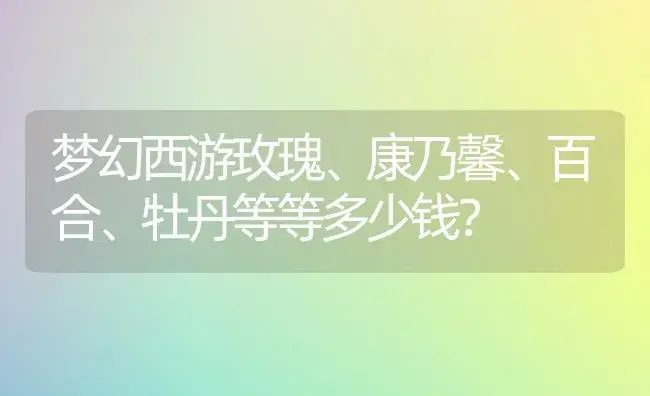 梦幻西游玫瑰、康乃馨、百合、牡丹等等多少钱？ | 绿植常识