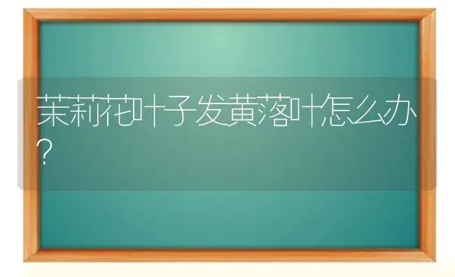 茉莉花叶子发黄落叶怎么办？ | 绿植常识