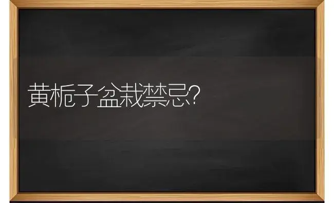 黄栀子盆栽禁忌？ | 绿植常识