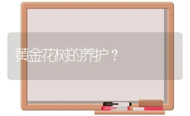 黄金花树的养护？ | 多肉养殖