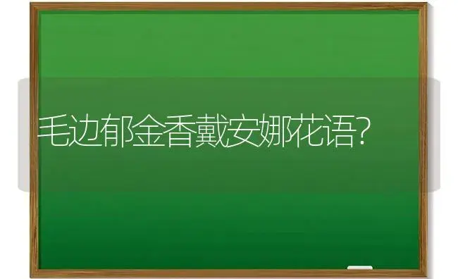 毛边郁金香戴安娜花语？ | 绿植常识