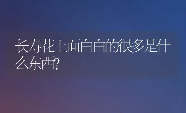 长寿花上面白白的很多是什么东西？ | 多肉养殖