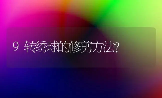 9转绣球的修剪方法？ | 绿植常识