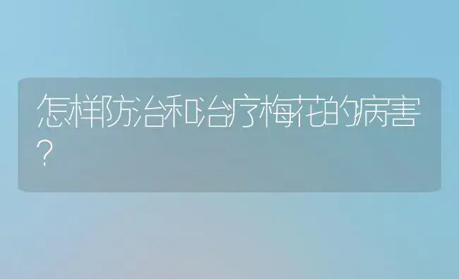 怎样防治和治疗梅花的病害？ | 家庭养花