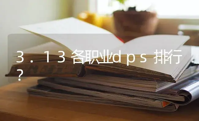 3.13各职业dps排行？ | 多肉养殖