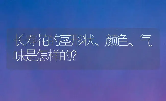 长寿花的茎形状、颜色、气味是怎样的？ | 多肉养殖