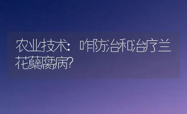 农业技术:咋防治和治疗兰花蘖腐病？ | 家庭养花