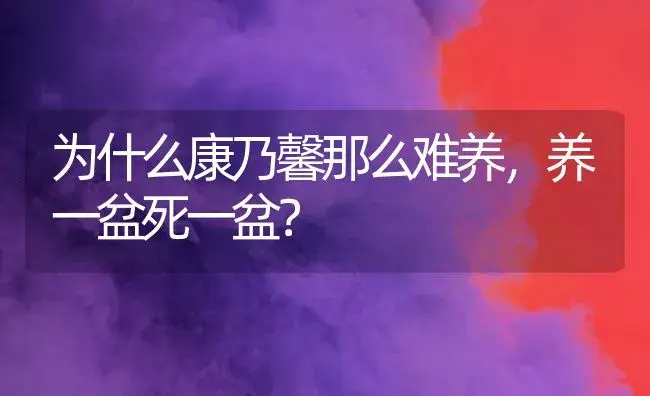 为什么康乃馨那么难养，养一盆死一盆？ | 绿植常识