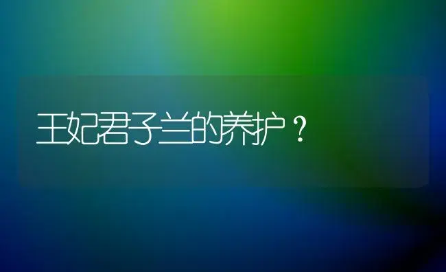 王妃君子兰的养护？ | 绿植常识