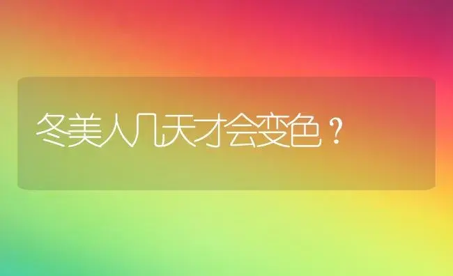 冬美人几天才会变色？ | 多肉养殖