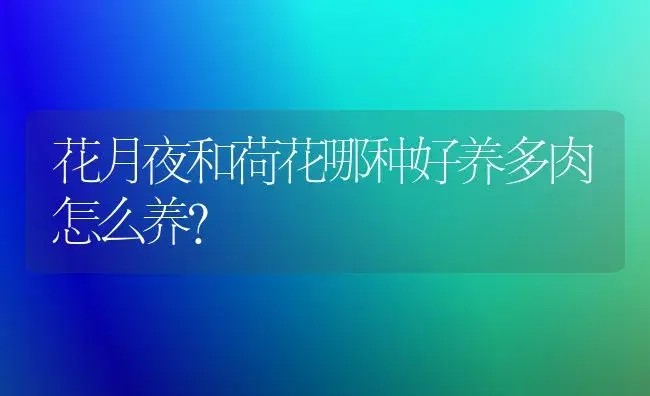 花月夜和荷花哪种好养多肉怎么养？ | 多肉养殖