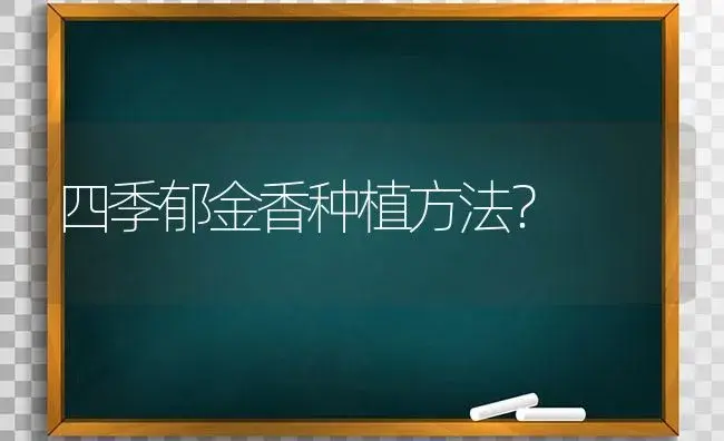 四季郁金香种植方法？ | 绿植常识