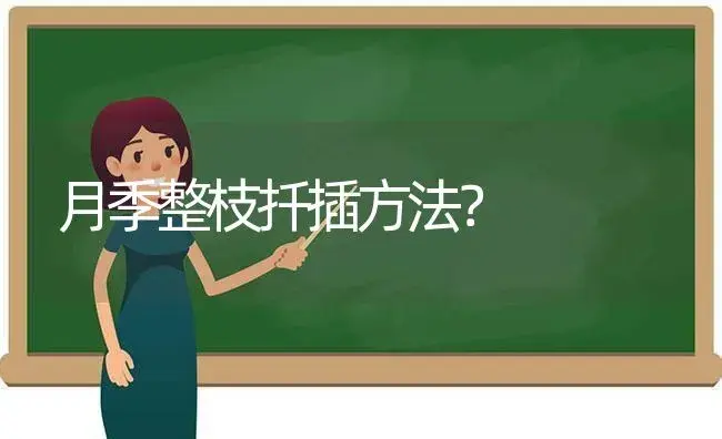 月季整枝扦插方法？ | 绿植常识