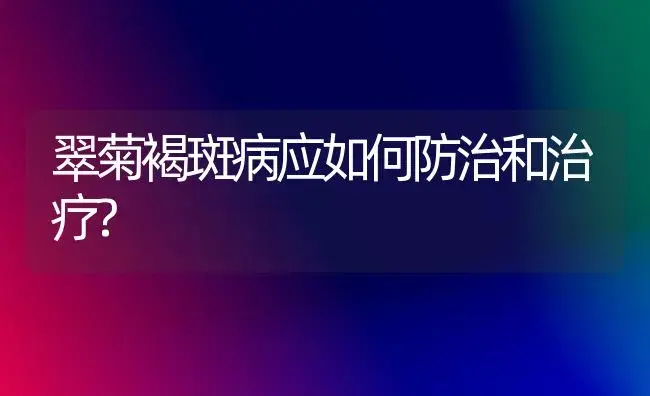 翠菊褐斑病应如何防治和治疗? | 家庭养花