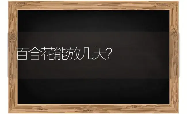 百合花能放几天？ | 绿植常识