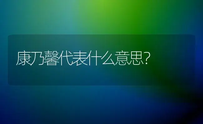 康乃馨代表什么意思？ | 绿植常识