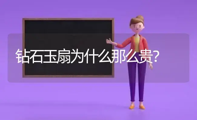 钻石玉扇为什么那么贵？ | 多肉养殖