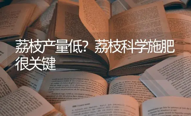 荔枝产量低？荔枝科学施肥很关键 | 果木种植