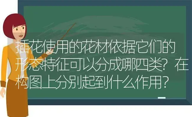 插花使用的花材依据它们的形态特征可以分成哪四类?在构图上分别起到什么作用？ | 绿植常识