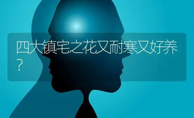 四大镇宅之花又耐寒又好养？ | 多肉养殖