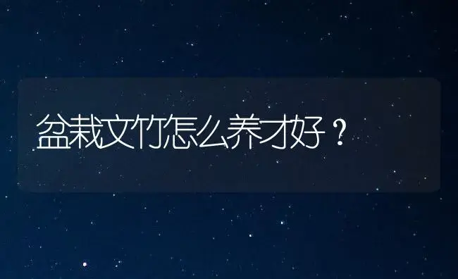 盆栽文竹怎么养才好？ | 家庭养花